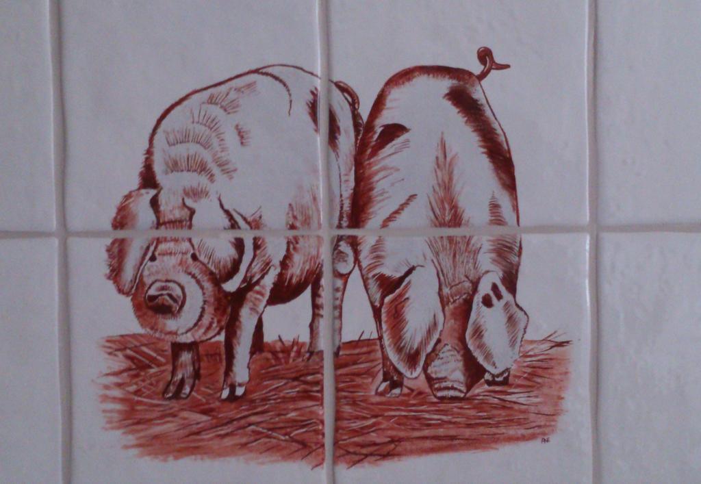 דירות Stuifzand Stal Zwartschaap חדר תמונה