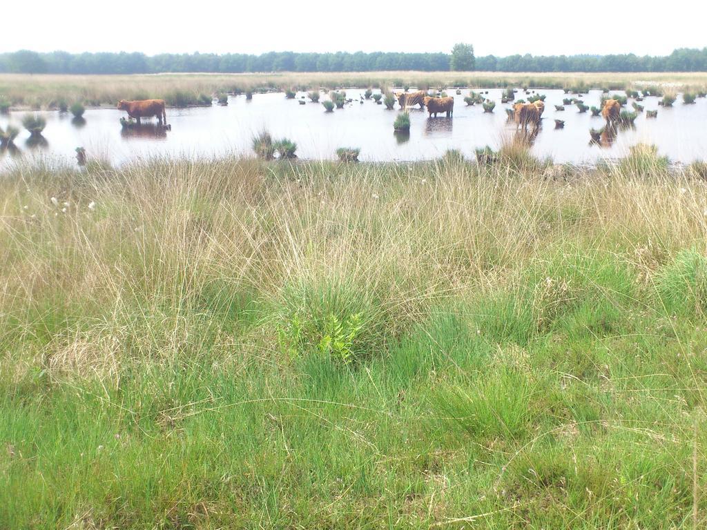 דירות Stuifzand Stal Zwartschaap מראה חיצוני תמונה